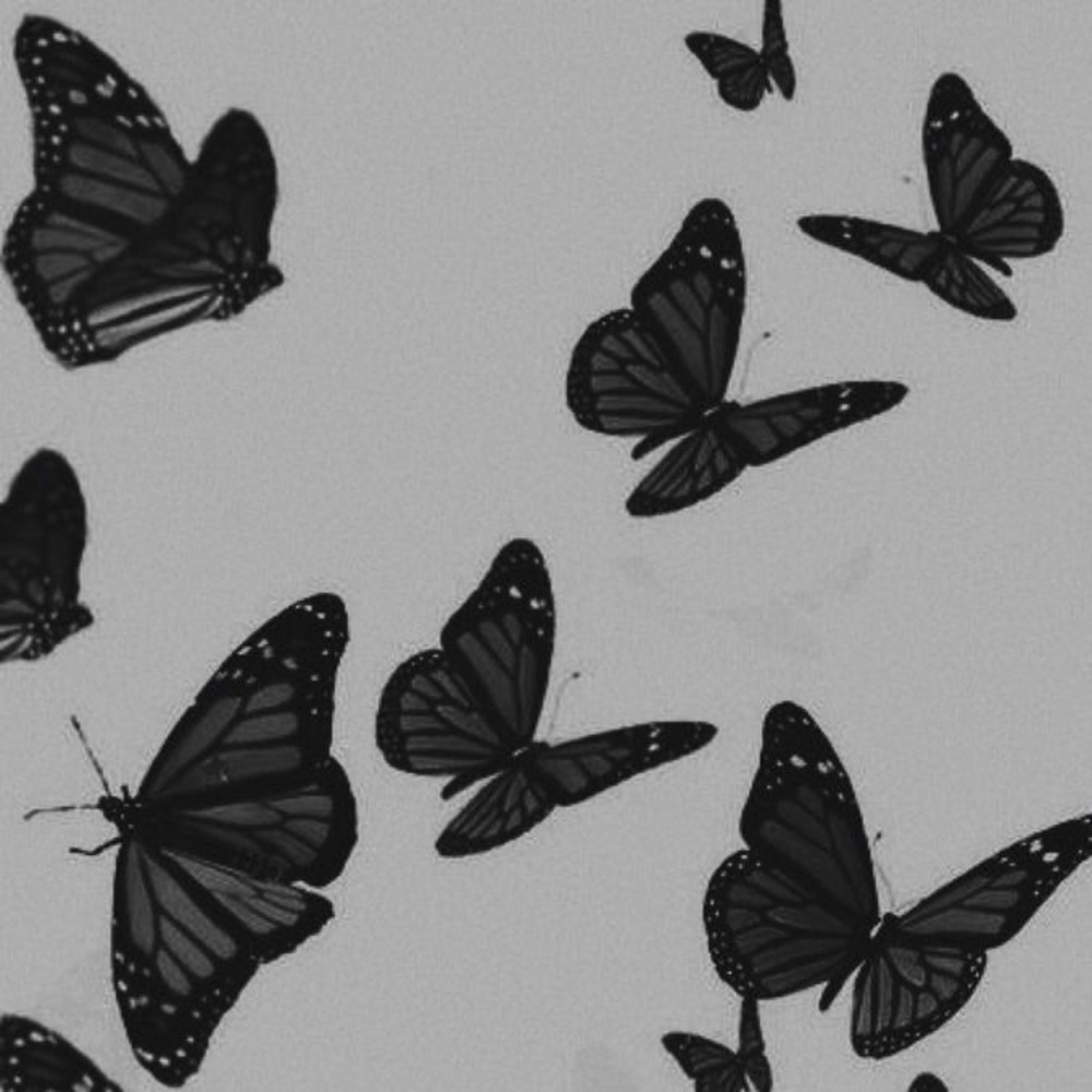 Meet your Posher, Daryl